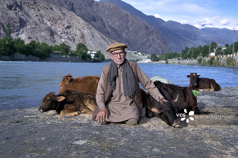 在巴基斯坦吉尔吉特河旁休息的农民与奶牛图片素材