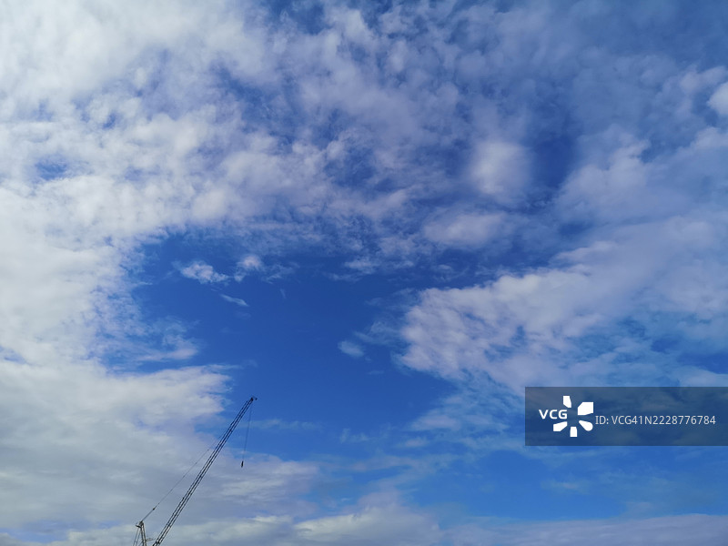 天空背景下的鹤图片素材