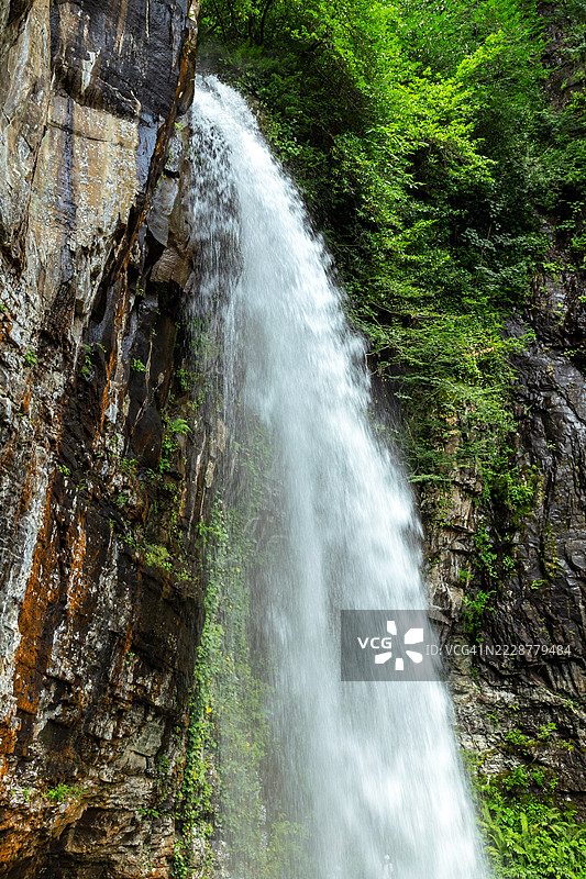 阿布哈兹巨型维利坎瀑布热带风景背景，植物和苔藓，竖版照片图片素材