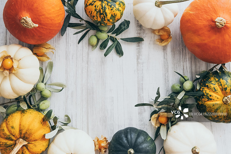 各种橙色、黄色、绿色和白色的南瓜与橄榄枝和灯笼果一起摆放在质朴的白色木板上。图片素材