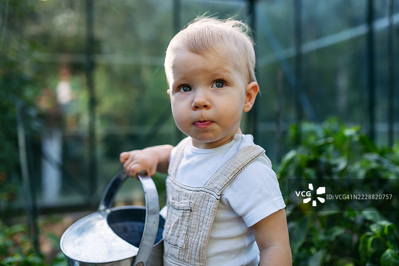 小宝宝在温室里帮忙，给植物浇水。图片素材