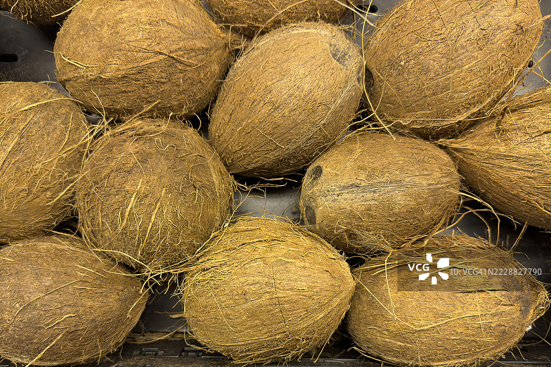 国际市场上的零售椰子图片素材