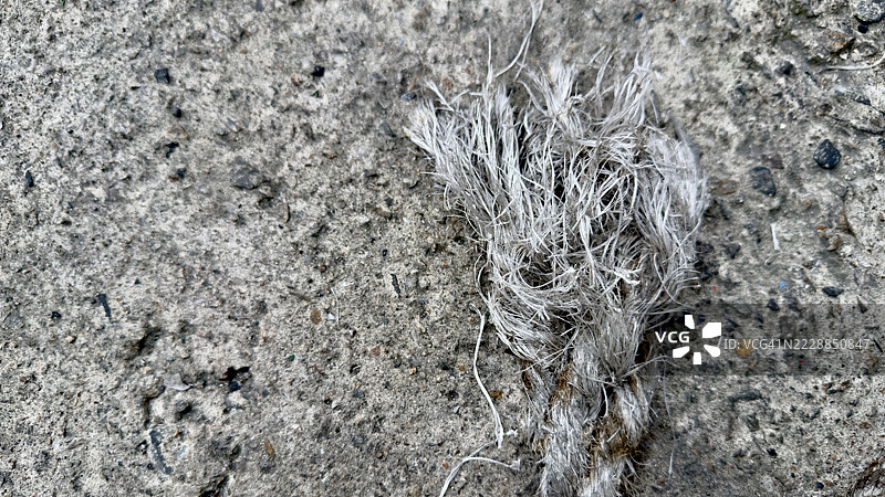 地上的磨损绳索。图片素材