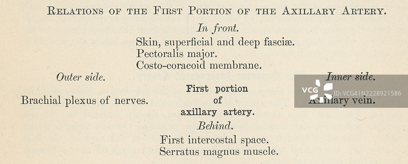 旧版雕刻插图，展示了一本人体解剖书中的一页，描述了腋动脉，这是一条上肢的重要血管，作为锁骨下动脉在越过第一根肋骨的外侧边缘后的延续。图片素材