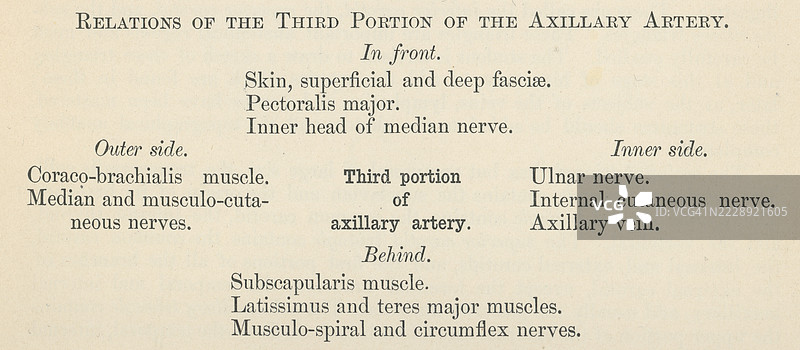 旧版雕刻插图，展示了一本人体解剖书中关于腋动脉的页面，腋动脉是上肢的一条主要血管，作为锁骨下动脉在越过第一根肋骨的外侧边缘后的延续。图片素材