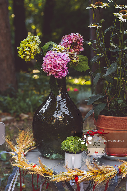 花园中的花卉布置图片素材