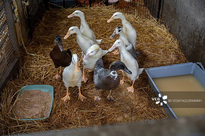 你在看什么？图片素材