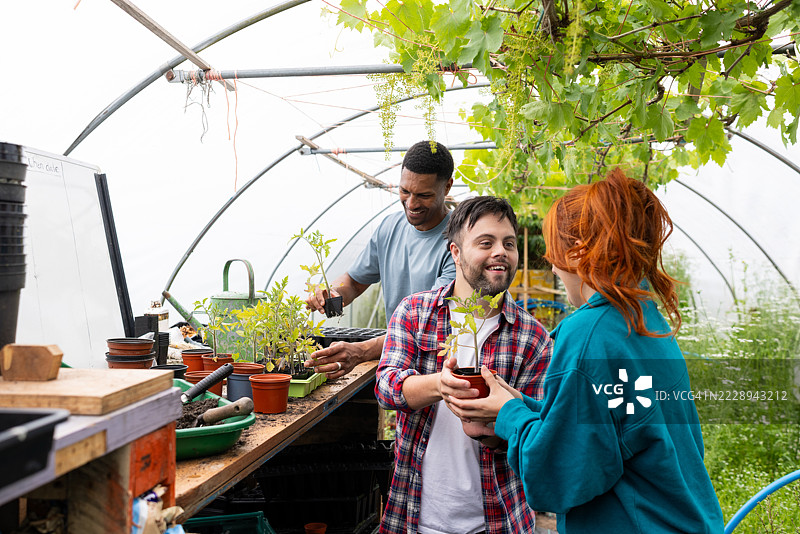 在温室中栽种植物的快乐时光图片素材