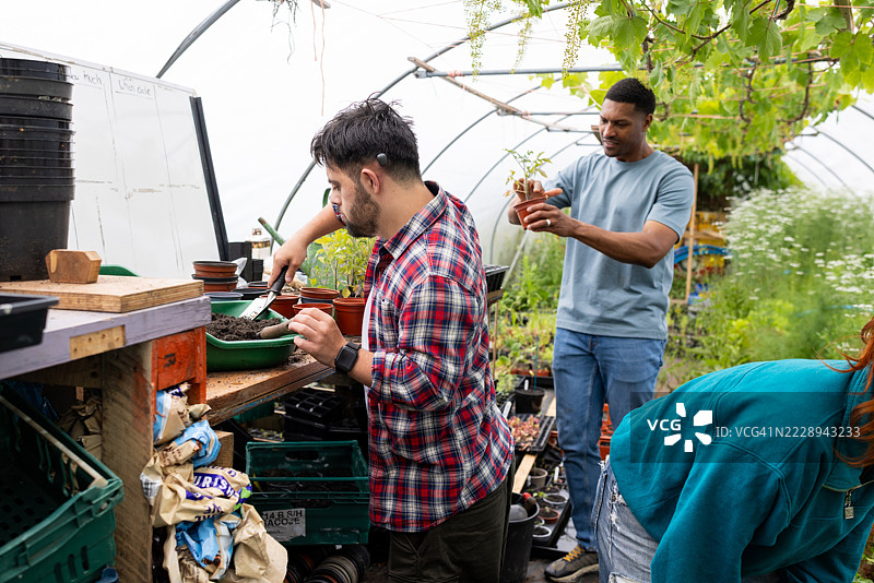 在社区花园中重新填土的花盆图片素材