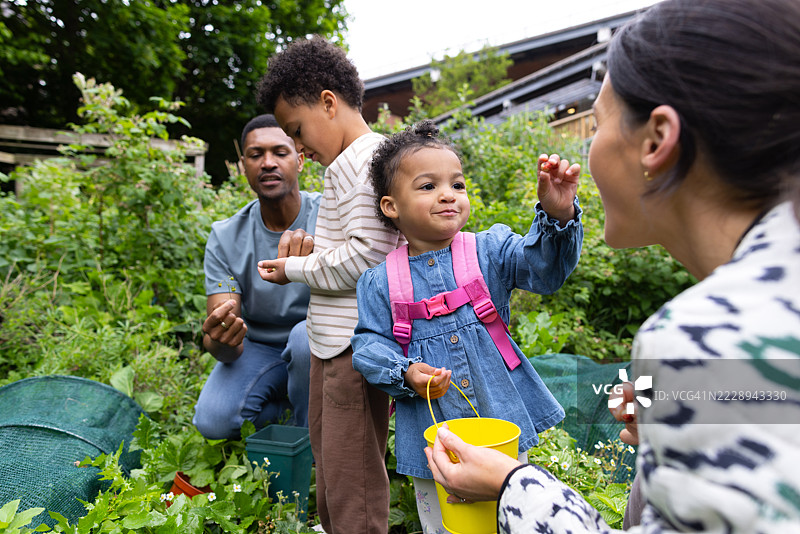 女儿向母亲展示草莓图片素材