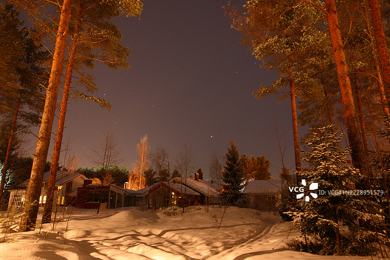 芬兰奥卢夜空下的树木图片素材
