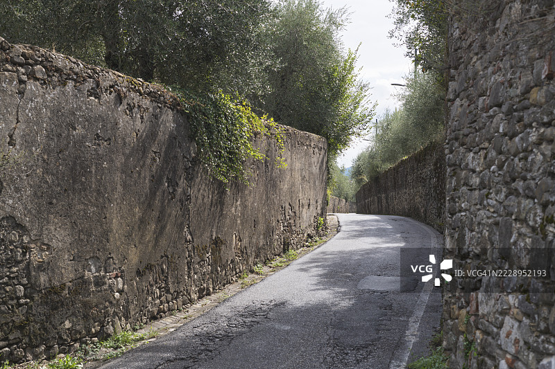 树木间的空旷道路，佛罗伦萨，托斯卡纳，意大利图片素材