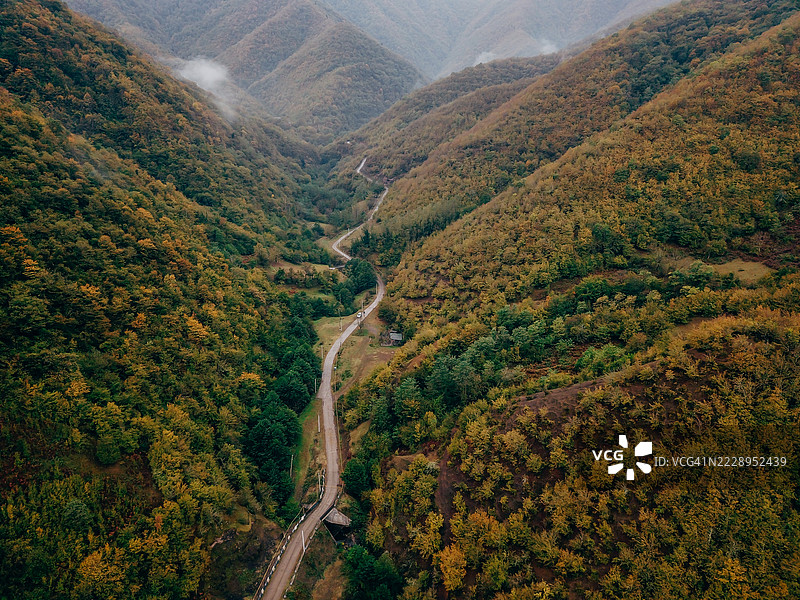 乔治亚州森林中树木间的道路俯视图图片素材