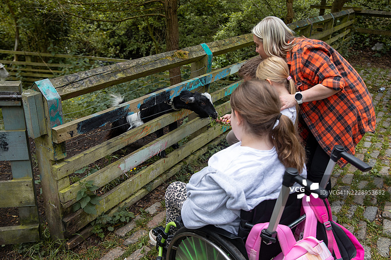 它们太可爱了图片素材