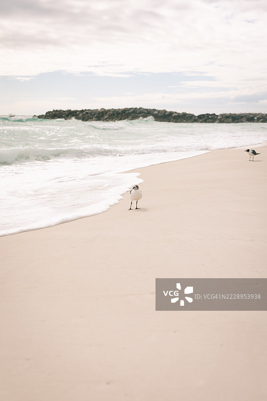 佛罗里达州德斯廷的海滩美景与天空相映成趣图片素材