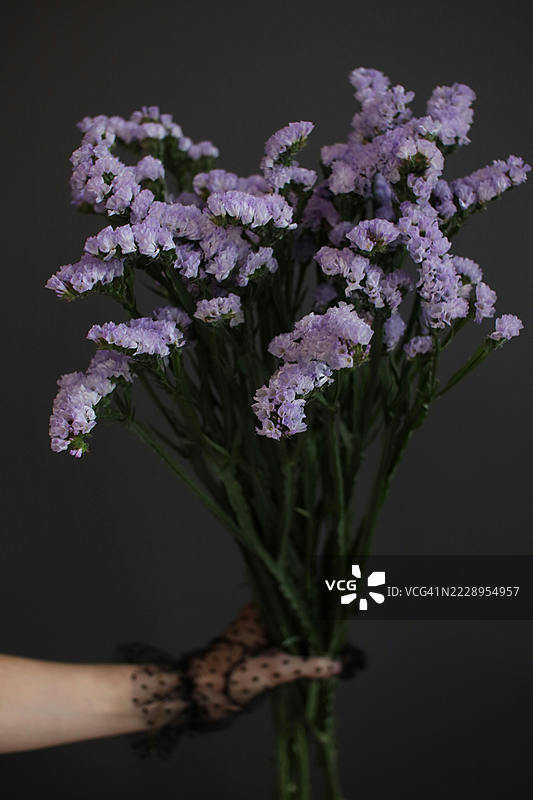 黑色背景下的手握花朵，萨尔蒂略，科阿韦拉州，墨西哥图片素材