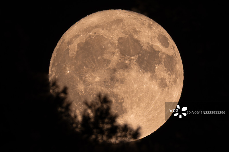 夜空中清晰的月亮低角度视图，土耳其马尔马里斯图片素材