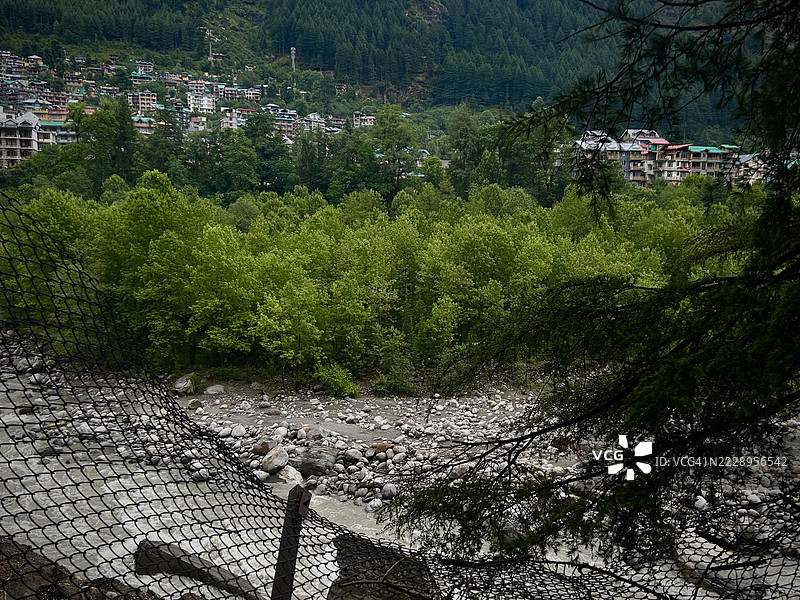 印度喜马偕尔邦马纳利森林中的树木高角度视图图片素材