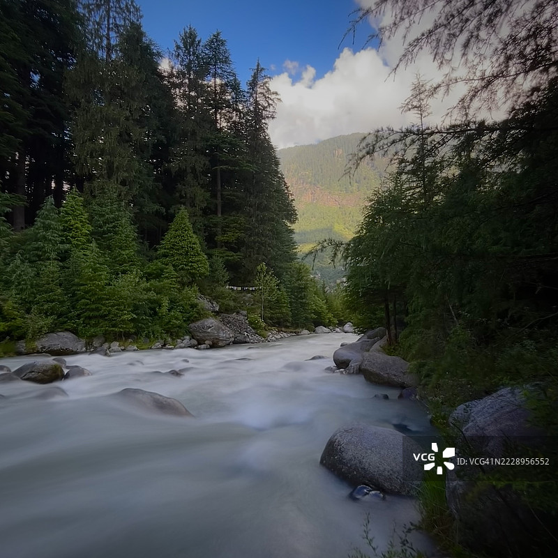 森林中河流与树木的美丽景色，马纳利，喜马偕尔邦，印度图片素材
