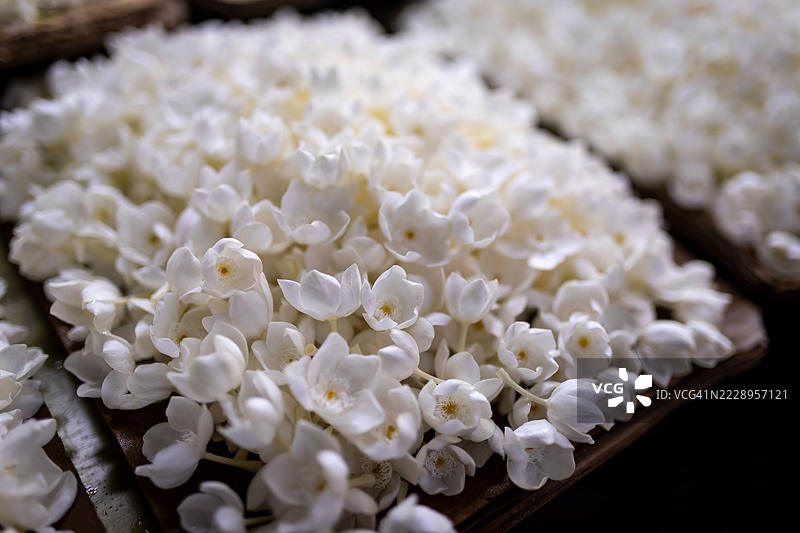 康提牙庙的佛花供品图片素材