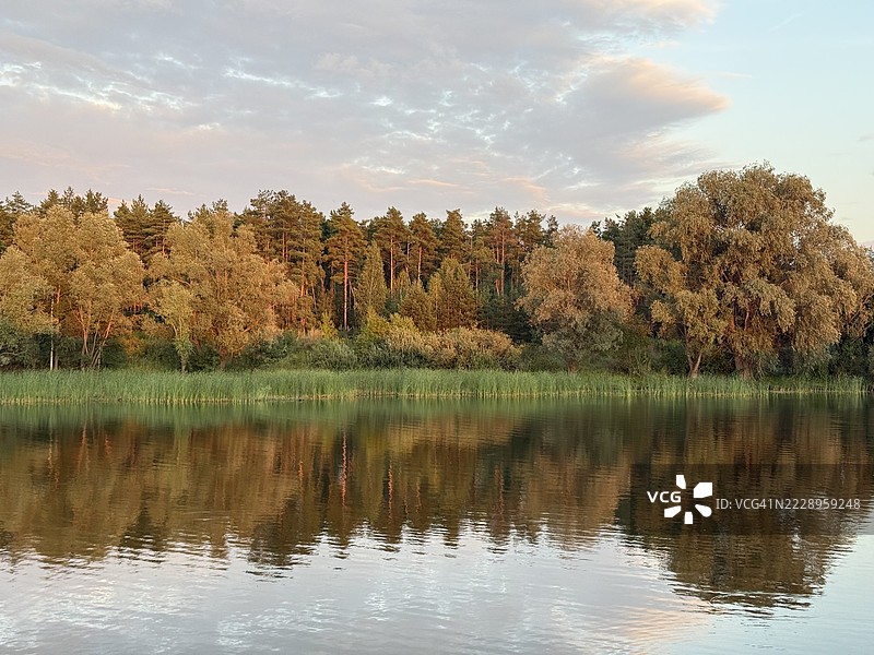美丽的湖泊和森林的黄昏景色图片素材