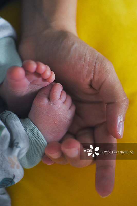 父母抱着婴儿脚的特写图像，肯塔基州，美国图片素材