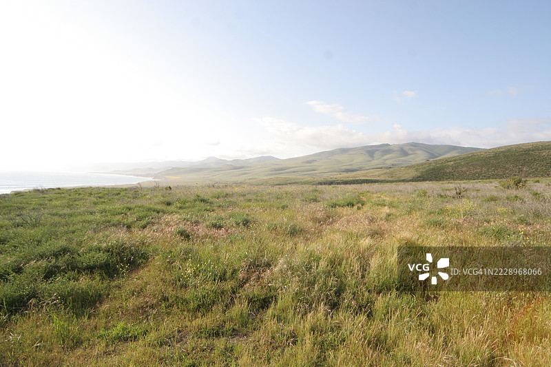 加利福尼亚州贾拉马的天空下的田野美景图片素材