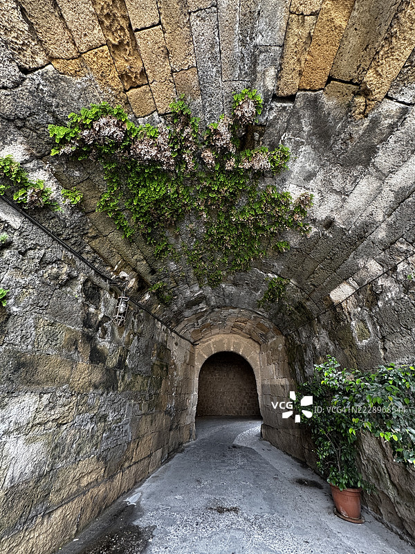 希腊墙壁上生长的常春藤俯视图图片素材