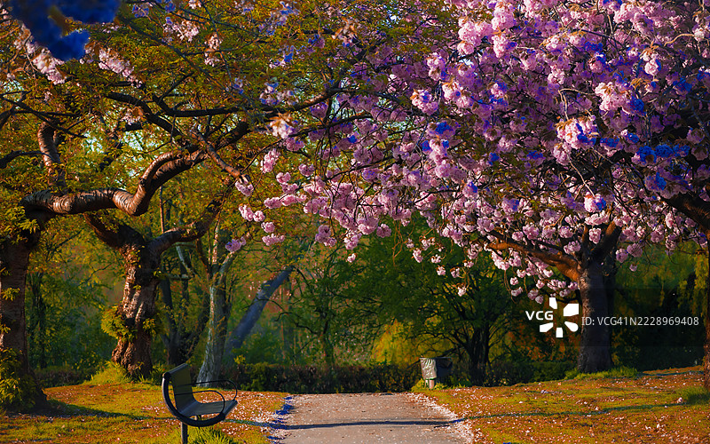 曼彻斯特，英国，秋天的色彩绚丽多彩图片素材