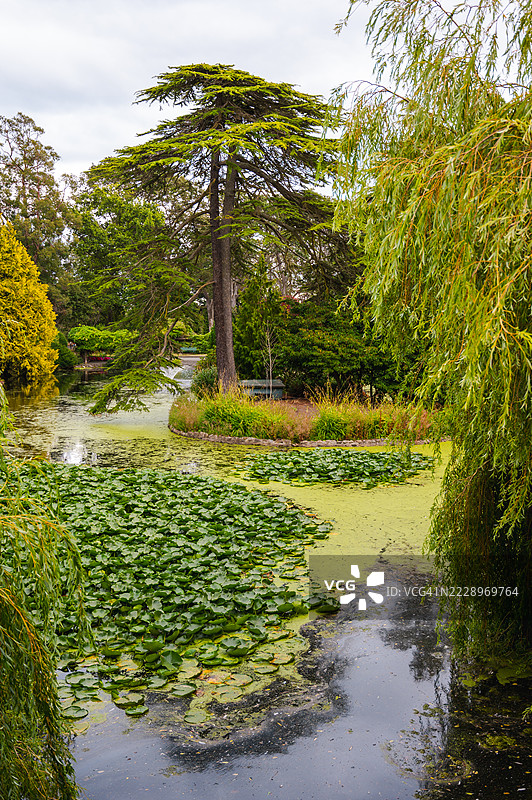 维多利亚的灯塔山公园图片素材