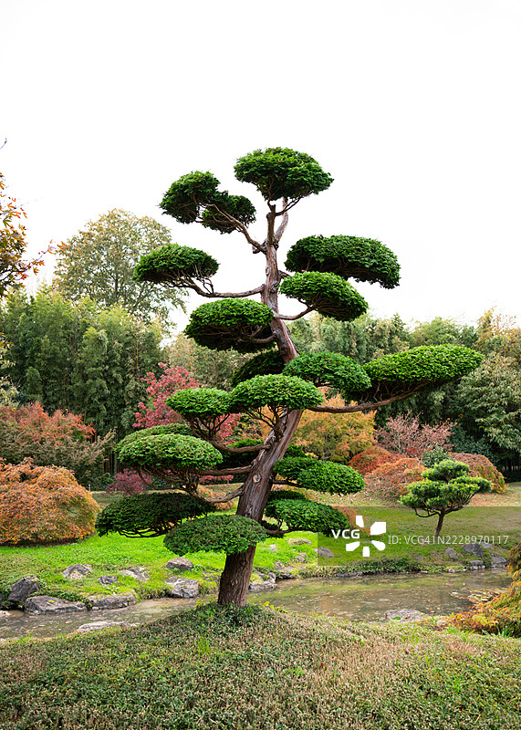 安杜兹，奥克西塔尼，法国公园中的树木与晴朗的天空图片素材