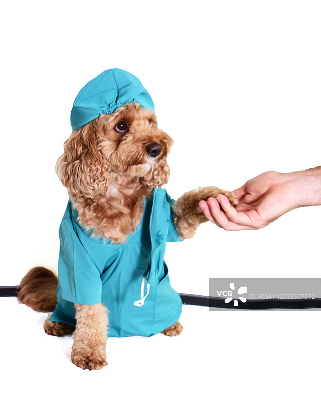 涂鸦外科医生图片素材