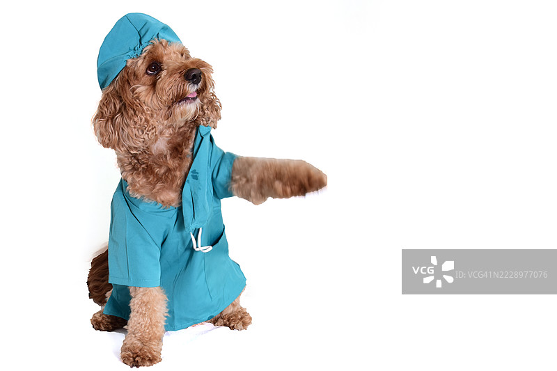 涂鸦外科医生图片素材