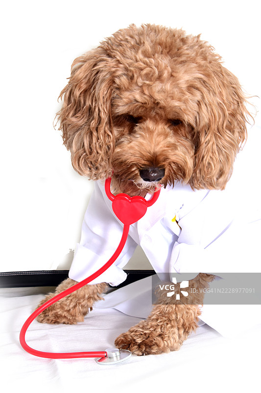 涂鸦医生图片素材