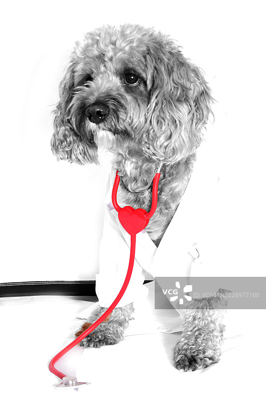 涂鸦医生图片素材