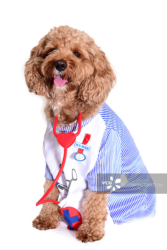 涂鸦护士图片素材