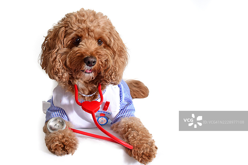 涂鸦护士图片素材