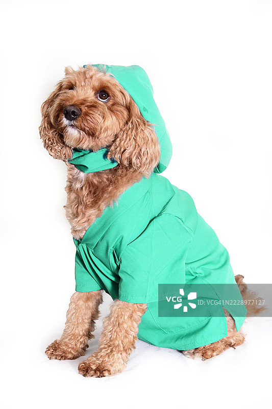 涂鸦外科医生图片素材