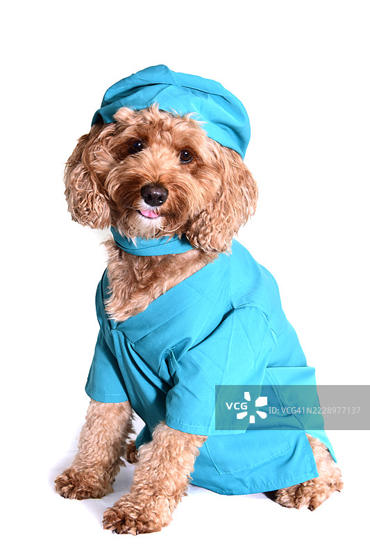 涂鸦外科医生图片素材