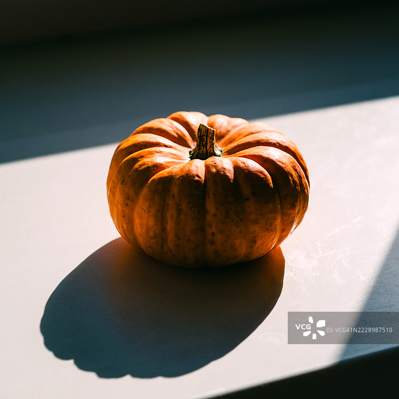 小橙色南瓜在白色表面上被阳光照亮图片素材