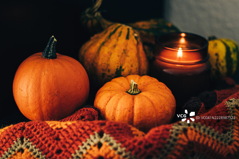 秋季装饰，南瓜和蜡烛放在舒适的针织毛毯上图片素材