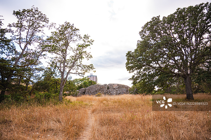 维多利亚的灯塔山公园图片素材