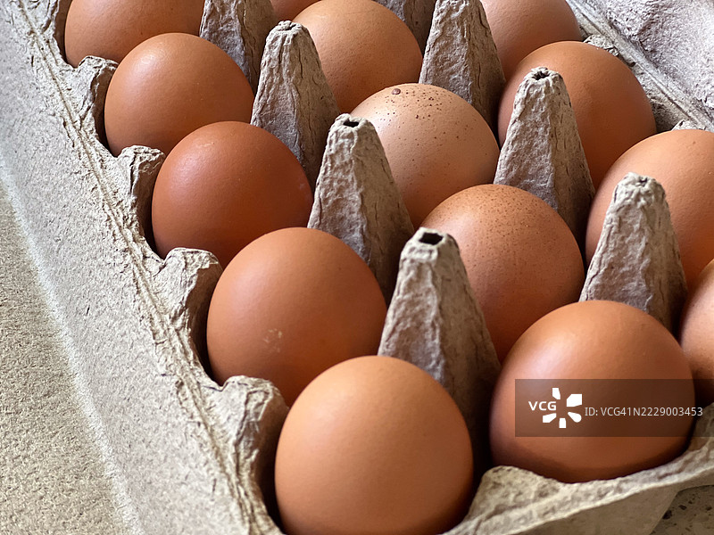 新鲜的棕色鸡蛋在托盘中图片素材