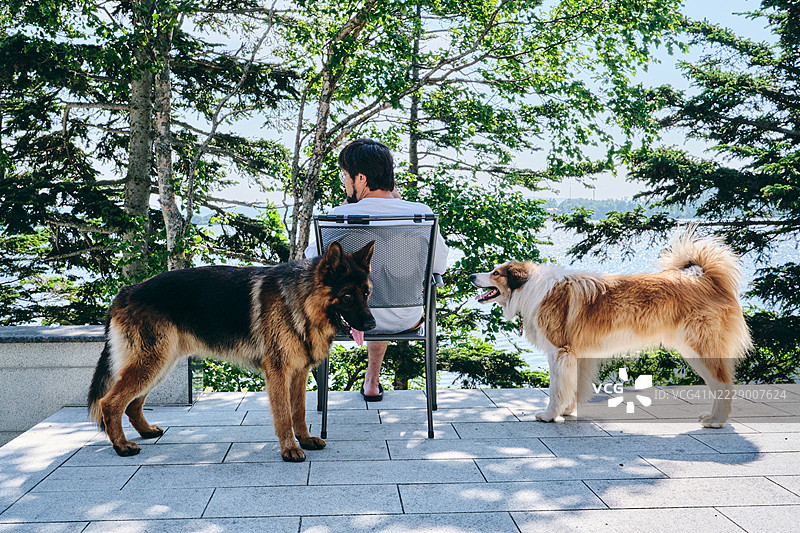 一个男人和两只狗在阳台上放松，享受阳光。图片素材