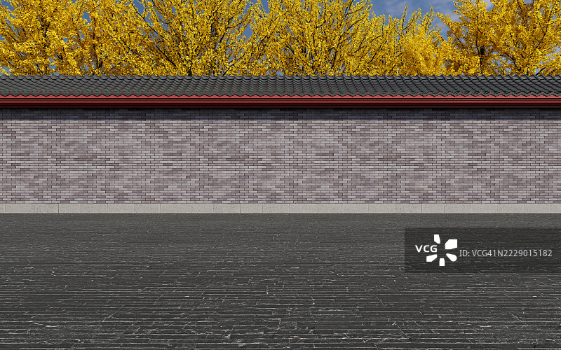 传统的中国墙与金色的银杏树图片素材
