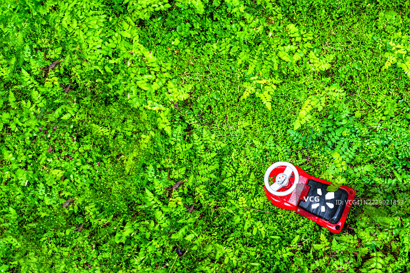 迷失在绿色中：玩具车的静谧冒险图片素材