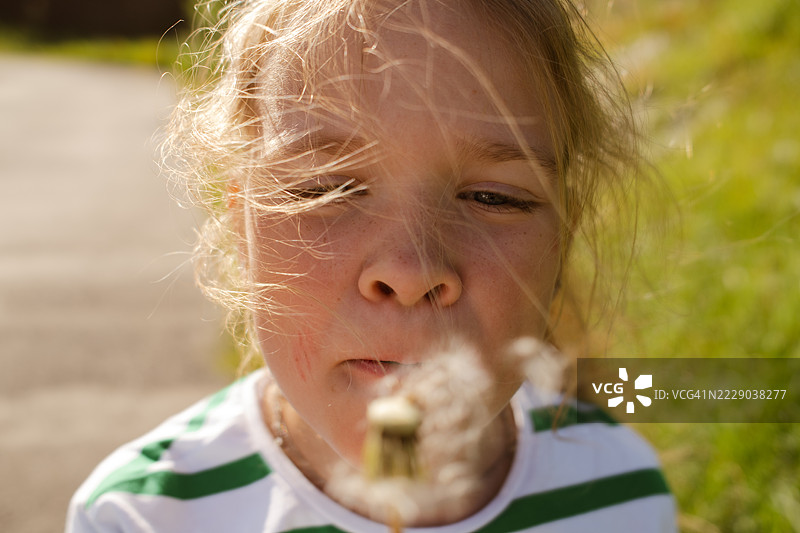 一个手握蒲公英的女孩图片素材