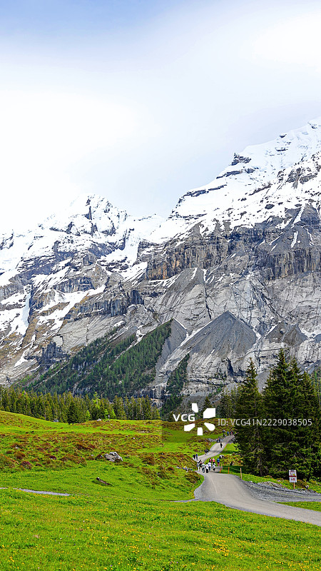 瑞士伯尔尼高地地区的奥赫辛湖远足小径和高山草甸的广阔风景，雪山环绕，森林与全景山谷景观，自然旅游与山地冒险概念。图片素材