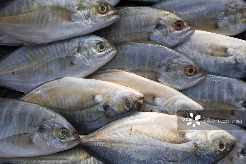 印尼市场摊位上新鲜鱼类的特写图片素材