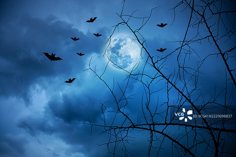 万圣节夜晚的墓地，僵尸之手在满月和闪电的恐怖背景下升起。墓地中的僵尸之手在万圣节夜晚的满月和蝙蝠中升起。阴森的墓地场景，雷声伴随着月光，营造出万圣节的恐怖氛围。图片素材